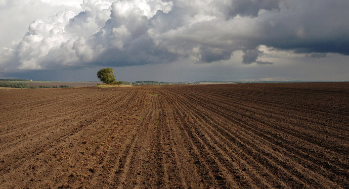 Прокуратура Николаевщины потребовала вернуть государству 320 гектаров земли за неуплату