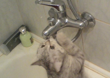 Завтра Старый Водопой временно останется без воды