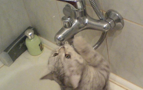 Завтра Старый Водопой временно останется без воды