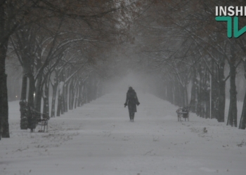 Куда пошла Снегурочка? Николаев песнями встречает предновогодний снег
