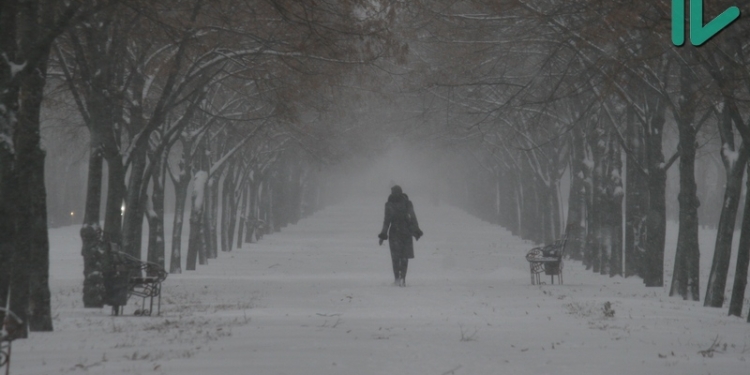 Куда пошла Снегурочка? Николаев песнями встречает предновогодний снег