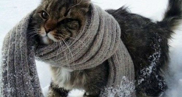 В Украину идет похолодание, ночью до -20. В Николаеве до -9