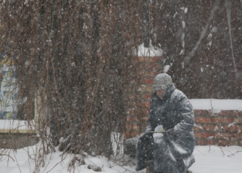 Куда пошла Снегурочка? Николаев песнями встречает предновогодний снег