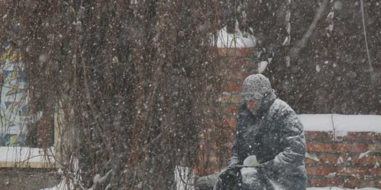 Куда пошла Снегурочка? Николаев песнями встречает предновогодний снег
