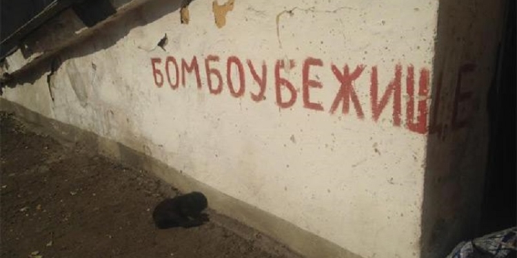 Где в Николаеве прятаться будем? Бомбоубежище на ул.Фалеевской стало баром, во дворце «Молодежный» – мастерской и кафе