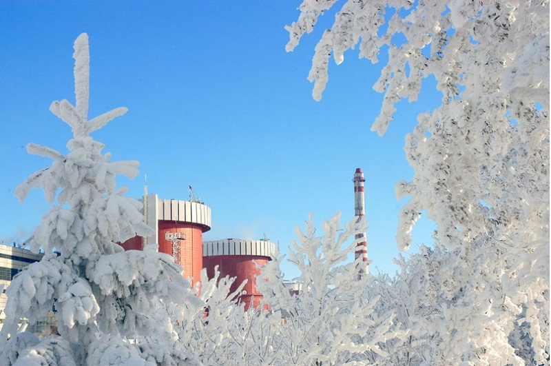 Французско-финская компания поставит запчасти к дизель-генераторам ЮУ АЭС на 80,28 млн. грн. 1