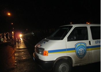 Без рук и головы. В Николаеве в мусорном контейнере нашли расчлененное тело