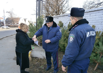 В Николаеве объявлена охота на нечипированные елки