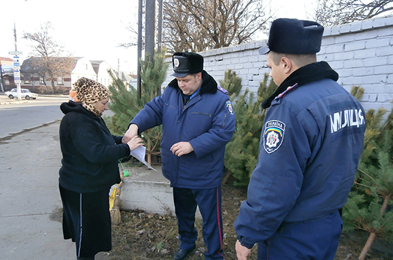 В Николаеве объявлена охота на нечипированные елки