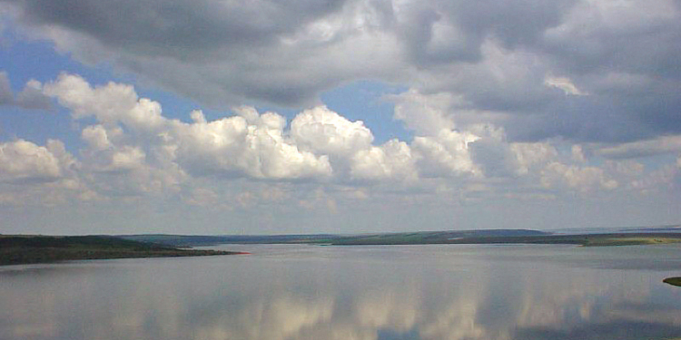 Недалекое будущее: в Тилигульском лимане будут плавать акулы, а Южный Буг высохнет