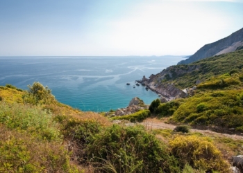 Николаевская прокуратура через суд вернула земельные участки на черноморском побережье