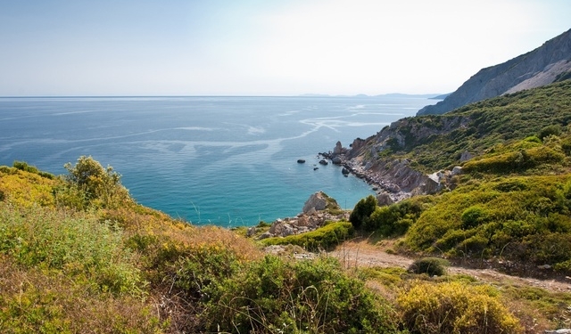 Николаевская прокуратура через суд вернула земельные участки на черноморском побережье