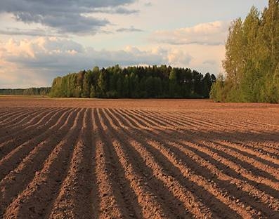 Прокуратура Николаевщины вернула 39 гектаров земли, которую арендаторы использовали не по назначению