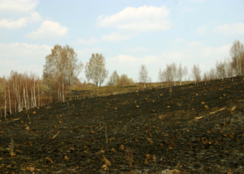 Cуд отобрал землю у землепашцев – за излишнее трудолюбие