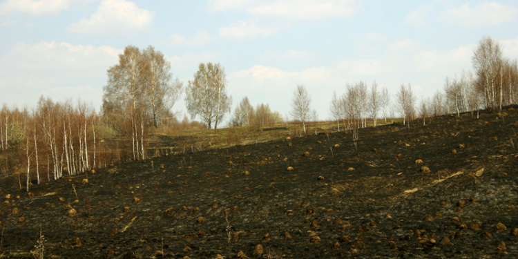 Cуд отобрал землю у землепашцев – за излишнее трудолюбие