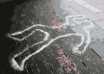 На ул.Лазурной убили 87-летнего мужчину