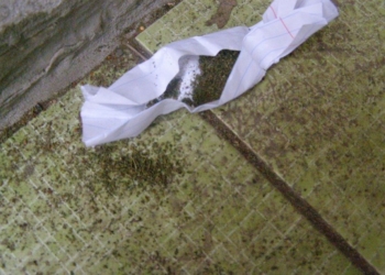 В Николаеве накрыли крупную точку по продаже курительных смесей