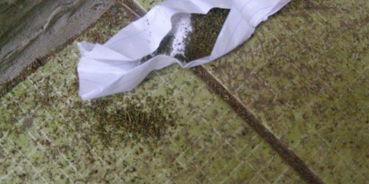 В Николаеве накрыли крупную точку по продаже курительных смесей