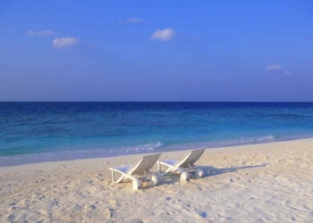 Очаковская прокуратура требует вернуть государству 22 га Черноморского побережья