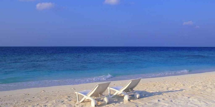 Очаковская прокуратура требует вернуть государству 22 га Черноморского побережья