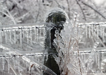 За рубежом: Венгрию накрыло ледяным дождем