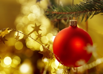 В Николаеве приступили к установке городской елки