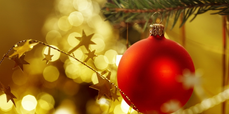 В Николаеве приступили к установке городской елки