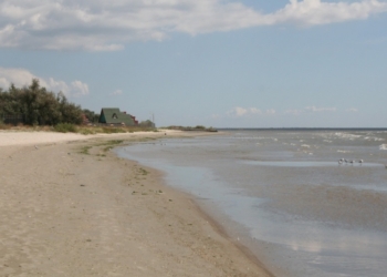 Детский лагерь «Приморье» в Рыбаковке в этом году не работал, но корпоративный конфликт по нему уже исчерпан