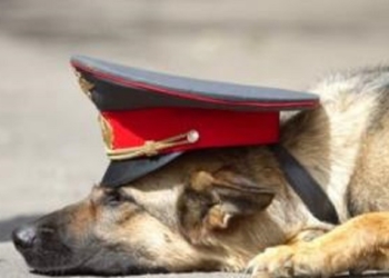 А в Южноукраинске – ложная тревога: там «заминировали» ГИС