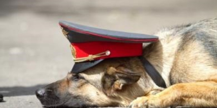 А в Южноукраинске – ложная тревога: там «заминировали» ГИС