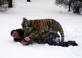 Николаевский зоопарк примет в дар непроданные елки