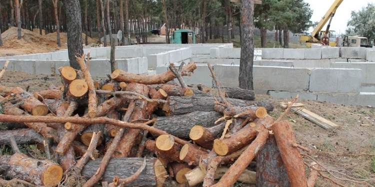 Еще добавка: прокуратура заявила еще 6 исков по сосновому урочищу в Корабельном районе