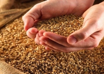 В рамках операции «Урожай» налоговики проверили свыше 2,5 тысяч сельхозпроизводителей Николаевщины