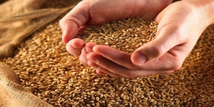 В рамках операции «Урожай» налоговики проверили свыше 2,5 тысяч сельхозпроизводителей Николаевщины