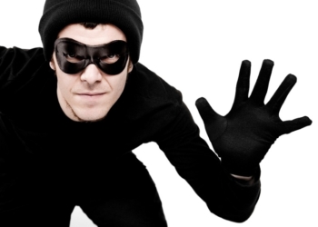 Не только телефоны, украшения и деньги: 40-летний вознесенец воровал даже породистых собак