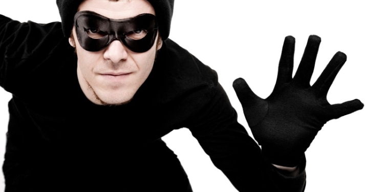 Не только телефоны, украшения и деньги: 40-летний вознесенец воровал даже породистых собак