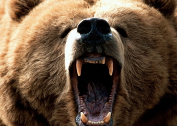 “Дави его нах..! Дави!”. Интернет всколыхнула неслыханная жестокость российских железнодорожников (Внимание! Ненормативная лексика!)