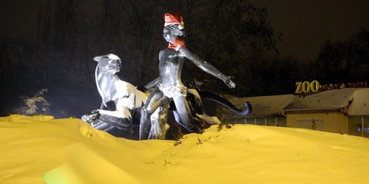 А питомцам Николаевского зоопарка снег – в радость. Пойдем, прогуляемся?