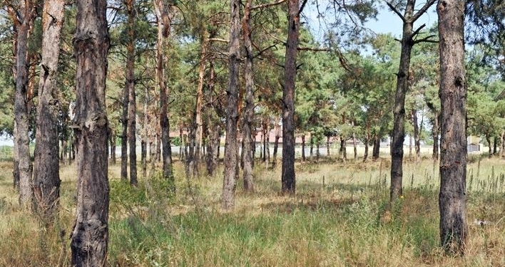 Как пройти в библиотеку? В очередной раз на судебные заседания по «Маяку» не явились ответчики