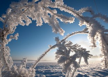 Погода в Украине: около -7 днем и сильный мороз ночью