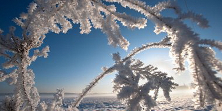 Погода в Украине: около -7 днем и сильный мороз ночью