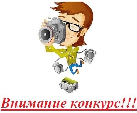 Найди козу. Николаевский областной краеведческий музей объявил необычный конкурс