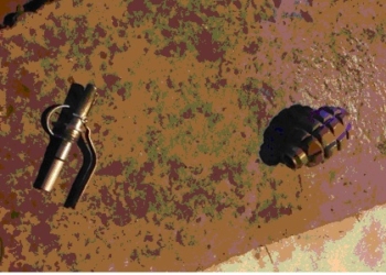 Ночью в Николаеве задержали пьяного с боевой гранатой. Чеку он уже выдернул…