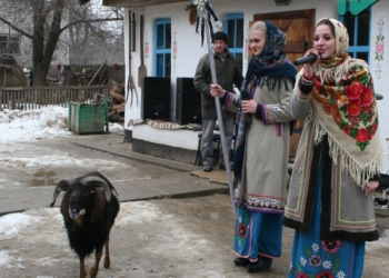 Водить козу каждый сможет. А водить барана? В Николаевском зоопарке смогли!