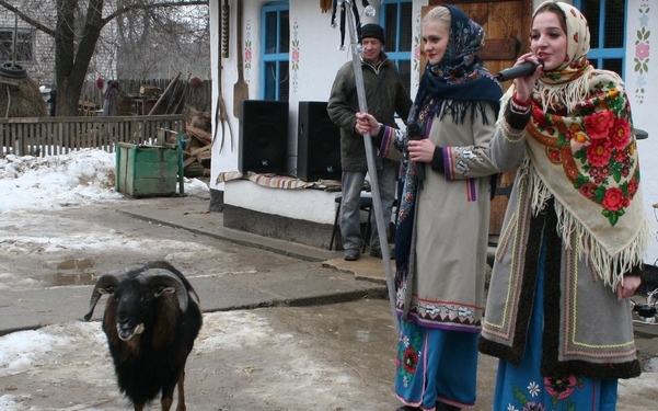 Водить козу каждый сможет. А водить барана? В Николаевском зоопарке смогли!