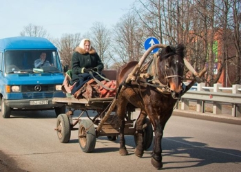 На Николаевщине “приора” столкнулась с телегой