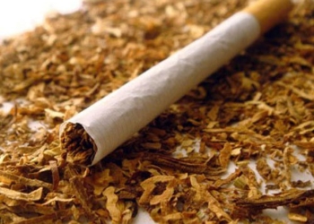 Торговля контрафактным табаком – источник финансирования террористов