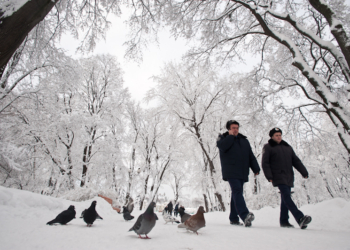 Все нынешние сотрудники ГАИ Украины будут уволены