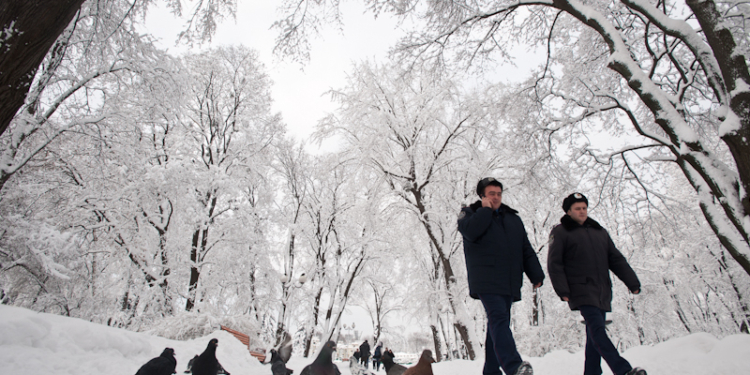 Все нынешние сотрудники ГАИ Украины будут уволены