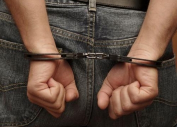 «Указ 7/8»: В Николаеве два брата сломали и хотели продать коммунальный забор